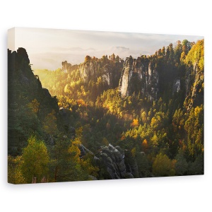 Tablou canvas - Padurea Soaptelor, Peisaj, Lumina, Copac, Deal, Panta, 60 x 90 cm