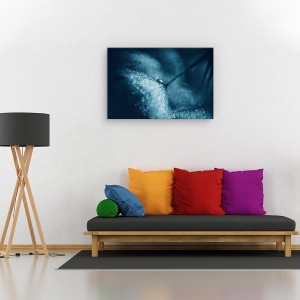 Tablou canvas - Papadie albastra, Flori, Picatura, Lumina, Tonifiat, 60 x 90 cm - Img 2