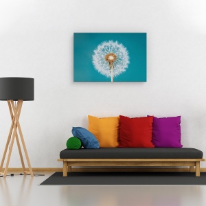 Tablou canvas - Papadie, Flori, Fragilitate, Turcoaz, 60 x 90 cm - Img 2