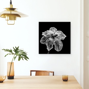 Tablou canvas - Papagalul Tulip, Floare, Lalea, Monocrom, Intuneric, Alb-Negru, 90 x 90 cm - Img 4
