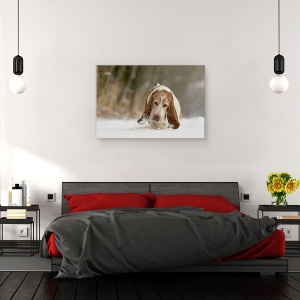 Tablou canvas - Pas Cu Pas, Caine, Pet, Zapada, Ninge, Iarna, 60 x 90 cm - Img 3