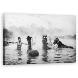 Tablou canvas - Pauza Fierbinte La Spa, Cai, Iaz, Curcan, Inot, Inot, 50 x 80 cm