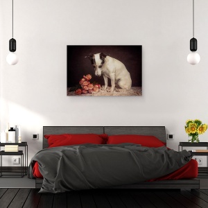 Tablou canvas - Pe Masura Ce Trece Timpul, Caini, Studio, Animale, Trandafiri, 60 x 90 cm - Img 3