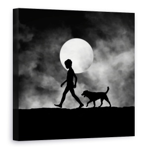 Tablou canvas - Pentru Toate Timpurile, Contrast, Caine, Pet, Animal, 60 x 60 cm