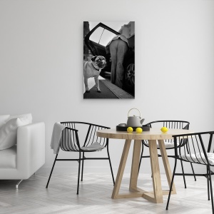 Tablou canvas - Pet, Caine, Pet, Limba, Linge, Strada, 40 x 60 cm - Img 4