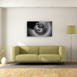 Tablou canvas - Portbagaj, Elefant, Alb-Negru, Cerc, Spiral, 50 x 80 cm - Img 2