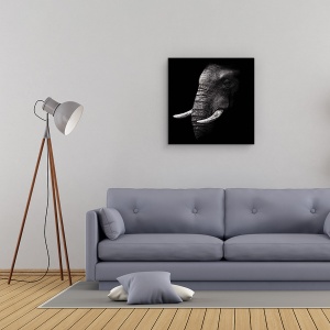 Tablou Canvas - Portret, Elefant, Animal, Intuneric, Trunchi, Experienta, 60 x 60 cm - Img 2