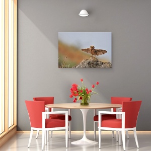Tablou canvas - Pot Sa Zbor, Julis, Dragut, Bufnita, Pasare, 40 x 60 cm - Img 4