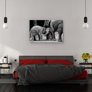 Tablou canvas - Prieteni pe viata, Nature, Elefant, Prieteni, intalnire, 80 x 120 cm - Img 3