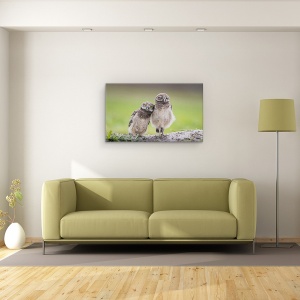Tablou canvas - Prieteni, Salbatic, Dragut, Frati, Bufnita, 50 x 80 cm - Img 2
