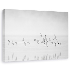 Tablou canvas - Prin Goliciune, Punct, Punct, Apa, Pasare, 80 x 120 cm