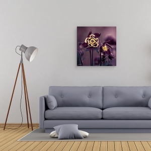 Tablou canvas - Privilegiat, Floare, Macro, Galben, Violet, Prim-Plan, 60 x 60 cm - Img 2