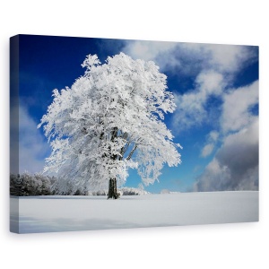 Tablou canvas - Promoroaca In Padurea Neagra, Peisaj, Iarna, Zapada, Copac, 40 x 60 cm