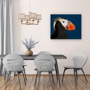 Tablou canvas - Puffin Smocuri, Salbatic, St Paul, Insula, Rusia, 60 x 75 cm - Img 4