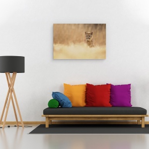 Tablou canvas - Puma, Fauna, Salbatic, Natura, Animal, Felina, 40 x 60 cm - Img 2