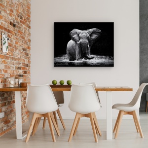 Tablou canvas - Putere, Elefant, Apa, Intuneric, Animal, Big, 50 x 70 cm - Img 4