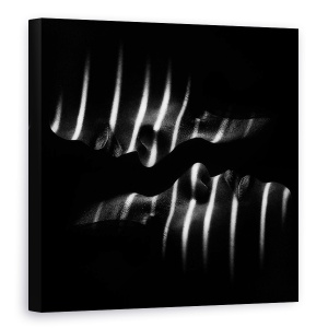 Tablou canvas - Puteri, Fata, Fete, Zebra, Dungi, Linii, Intunecos, 60 x 60 cm