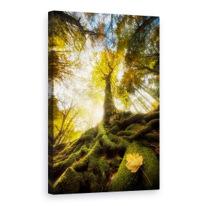 Tablou canvas - Ramas Bun De La O Frunza, Padure, Copac, 60 x 90 cm