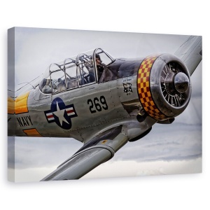 Tablou canvas - Rasturnare, Avion, Luptator, Aviatie, Pilot, Persoana, 60 x 90 cm