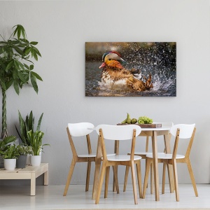 Tablou canvas - Rata Mandarina, Pasare, Ud, Strop, 50 x 80 cm - Img 4