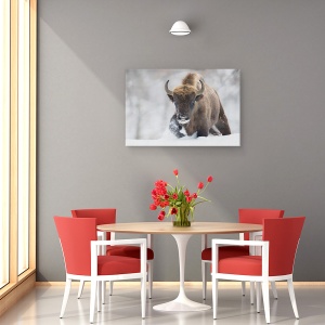 Tablou canvas - Rewilded, Bizon, Iarna, Salbatic, Natura, 80 x 120 cm - Img 4