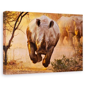 Tablou canvas - Rhino invata sa zboare, Nature, Rinocer, Apus De Soare, Putere, 80 x 120 cm
