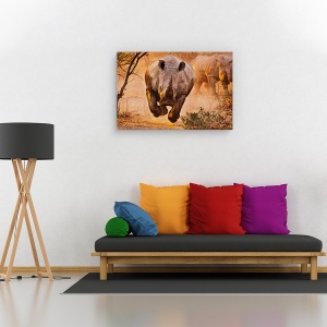 Tablou canvas - Rhino invata sa zboare, Nature, Rinocer, Apus De Soare, Putere, 60 x 90 cm - Img 2