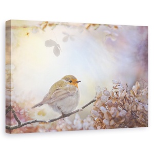 Tablou canvas - Robin In Vise, Zana, Basm, 60 x 90 cm