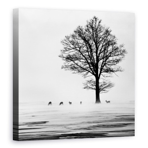 Tablou Canvas - Roes, Letonia, Cerb, 90 x 90 cm