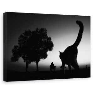Tablou canvas - Sahildeki Kedi, Pisica, Animal, Grafic, Vinieta, Pet, 40 x 60 cm