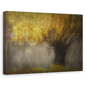 Tablou canvas - Salcie Pollard, Copac, 60 x 90 cm