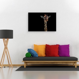 Tablou canvas - Salut, Girafa, La Roma, Italia, Animal, Gat, 40 x 60 cm - Img 2