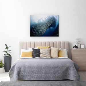 Tablou Canvas - Sardine Tornado, Peste, Marina, 50 x 70 cm - Img 3