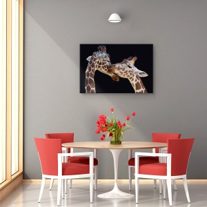 Tablou canvas - Sarutul, Animal, Girafa, Sarut, imbratisare, 40 x 60 cm - Img 4