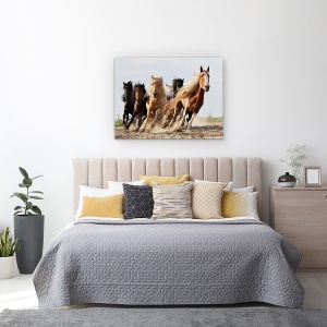 Tablou Canvas - Sasele Norocos, Cal, Actiune, Animale, Putere, Viteza, 60 x 80 cm - Img 3