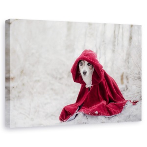 Tablou canvas - Scufita Rosie In Timpul Iernii, Portret, Caine, Rosu, 40 x 60 cm