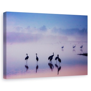 Tablou canvas - Serenitate Fermecata, Lac, Macara, Pasari, 60 x 90 cm