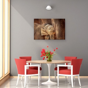 Tablou canvas - Sigur Si Bine Ingrijit, Elefant, Animal, Dragut, 80 x 120 cm - Img 4