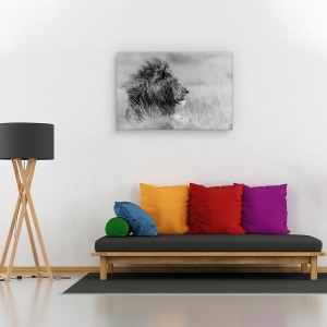 Tablou canvas - Singuratatea regelui, Nature, Animale Salbatice, Pradator, Puternic, 80 x 120 cm - Img 2