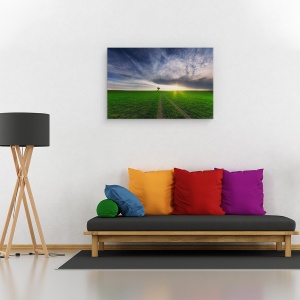 Tablou canvas - Singuratic In Soare, Soare, Verde, Campuri, Gol, 60 x 90 cm - Img 2