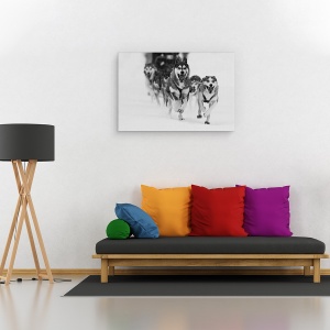 Tablou canvas - Sleddog Distractiv, Caine, Caini, Fuga, Fuga, Sanie, 60 x 90 cm - Img 2