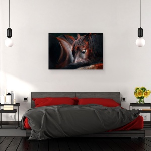 Tablou canvas - Somn Ghemuit, Cai, Dormind, Pasiune, 40 x 60 cm - Img 3