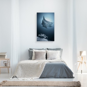 Tablou canvas - Sonata, Apa, Ray, Danseaza, Sub Apa, Cuplu, 50 x 80 cm - Img 3