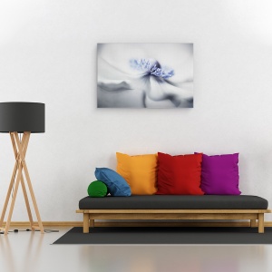 Tablou canvas - Spiritul Anemone, Anemona, Vara, Floare, Planta, 60 x 90 cm - Img 2
