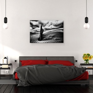 Tablou canvas - Strigatul Pescarusului, Peisaj, Gard, Nisip, Dune, 80 x 120 cm - Img 3