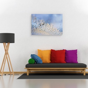 Tablou canvas - Tarare, Macro, Pana, Pene, Seminte, Seminte, 40 x 60 cm - Img 2