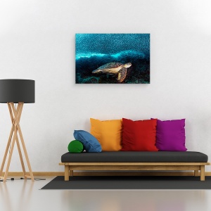 Tablou canvas - Testoasa Si Sardine, Scoala, Sub Apa, Scufundari, 40 x 60 cm - Img 2