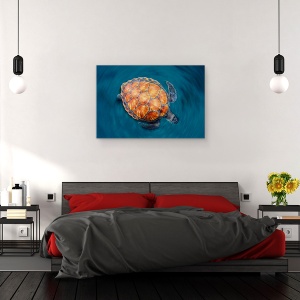 Tablou canvas - Testoasa, Sub Apa, Mare, Ocean, Salbatic, 60 x 90 cm - Img 3
