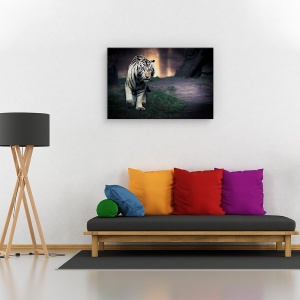 Tablou canvas - Tigru alb, Orase si arhitectura, Zoo, 60 x 90 cm - Img 2