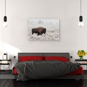 Tablou canvas - Toamna Tarzie In Yellowstone, Bizon, Parc National, Salbatic, 80 x 120 cm - Img 3